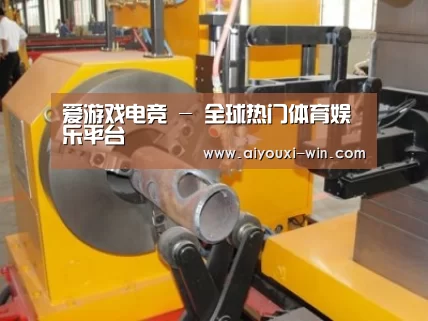 产品名称十四