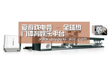 案例展示五