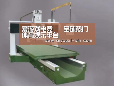 产品名称十