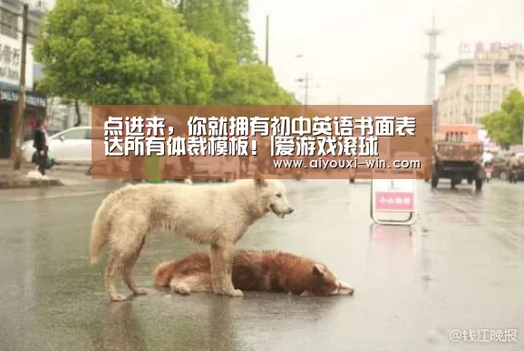 点进来,你就拥有初中英语书面表达所有体裁模板!|爱游戏滚球(图2) 爱游戏电竞