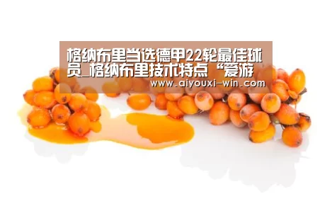 格纳布里当选德甲22轮最佳球员_格纳布里技术特点“爱游戏滚球”(图1) 爱游戏电竞竞猜