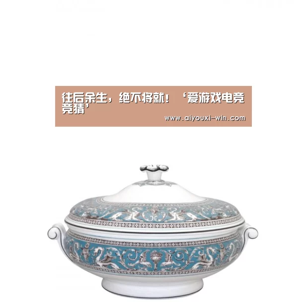往后余生,绝不将就!‘爱游戏电竞竞猜’(图3) 爱游戏电竞